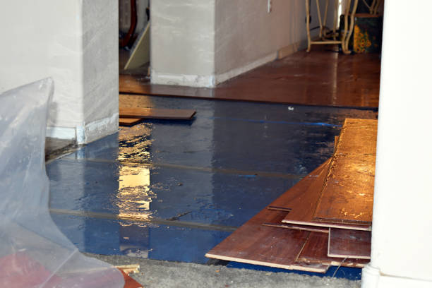 Professional Basement Flood Cleanup technician working in Evant, TX